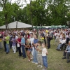 2009_nyarkoszonto_9