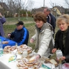 2011_bacsa_18