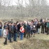 2011_bacsa_6