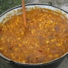 2011_dunaszentpal_11