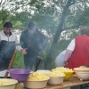 2011_dunaszentpal_6